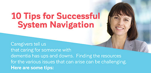 10 Tipes for SUccessful System Navigation
