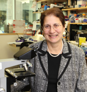 Dr. Rita Kandel