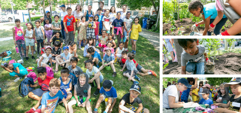 photo collage featuring students, staff planting