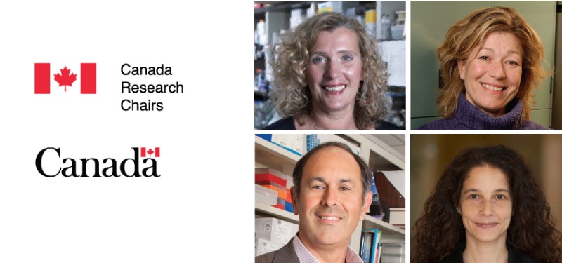 Collage of Sinai Health’s newest Canada Research Chairs